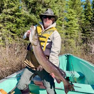 A fisherman in a boat holding a 42 inch Northern Pike with a forest background.