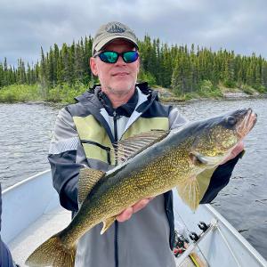 A fisherman in a boat holds up a large, golden-scaled Walleye fish against a backdrop of pine trees and a cloudy sky.