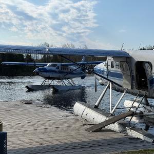 Two blue and white floatplanes docked at a wooden pier on Cordingley Lake at the edge of the Canadian wilderness.