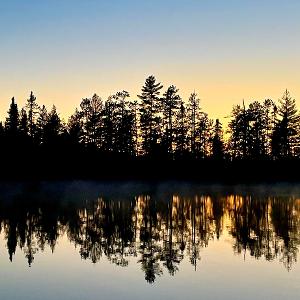 Silhouette of evergreen trees reflected in a calm lake at sunrise.