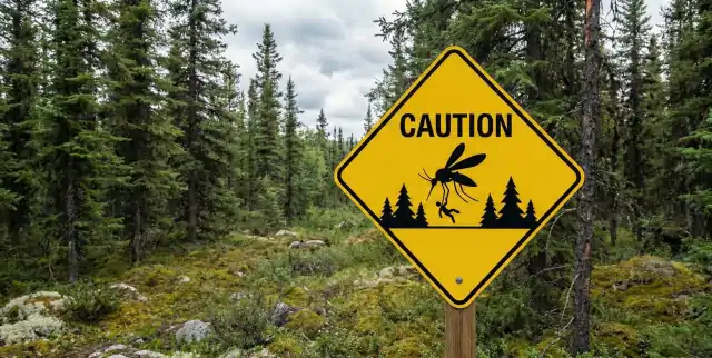 The Best Bug-Protection Plan for Wilderness Fishing